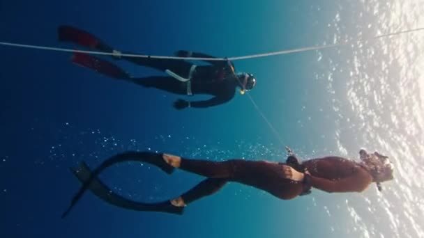 Freitaucher Tauchen Seil Entlang Und Trainieren Meer — Stockvideo