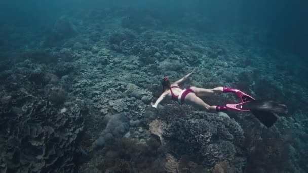 女性はカメと水中で泳ぐ — ストック動画