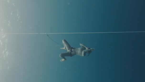 Femme Plongeur Libre Plonge Long Corde Les Trains Dans Mer — Video