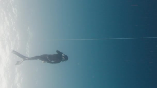 프리다이버는 바다에서 밧줄과 기차를 다이빙 — 비디오