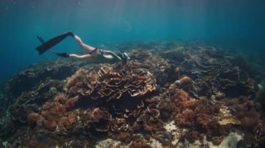 Kadın serbest dalgıç Endonezya 'daki Komodo Ulusal Parkı' ndaki canlı mercan resifi boyunca suyun altında yüzüyor.