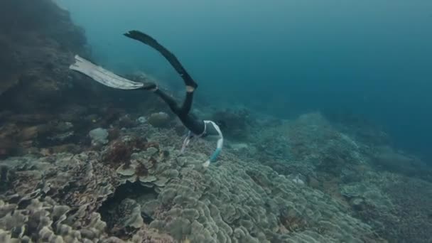 サンゴ礁で解放された 女性は海のサンゴ礁に沿って水中で泳ぐ — ストック動画