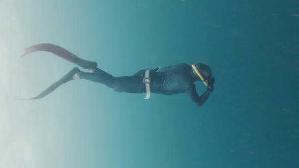 Freediving Sea Male Freediver Descends Sea Freedive Training Session — Stock Video
