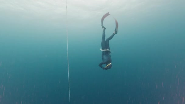 Freitauchen Auf Einem Seil Freitaucher Trainieren Seil Meer — Stockvideo