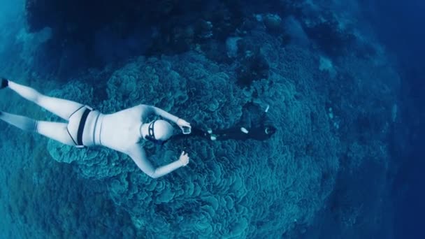 Freediving Reef Woman Freediver Swimming Underwater Reef Sea — Stock Video