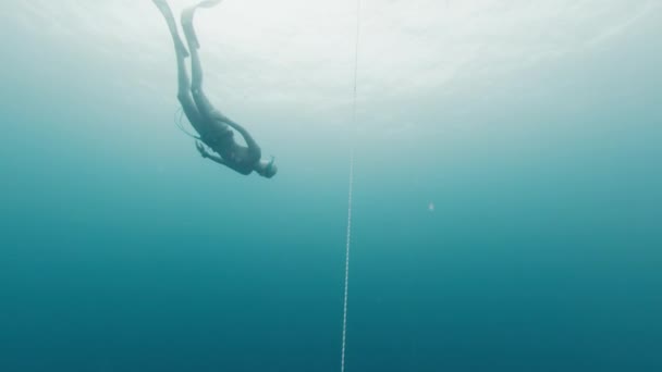 Freitauchen Auf Einem Seil Freitaucherinnen Trainieren Seil Meer — Stockvideo