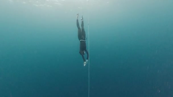 Freediving Una Cuerda Mujer Libre Entrenamiento Largo Cuerda Mar — Vídeos de Stock