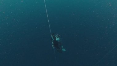 Serbest dalış kurtarma. Özgür bir kadın dalış arkadaşını denizin derinliklerinden kurtarır.