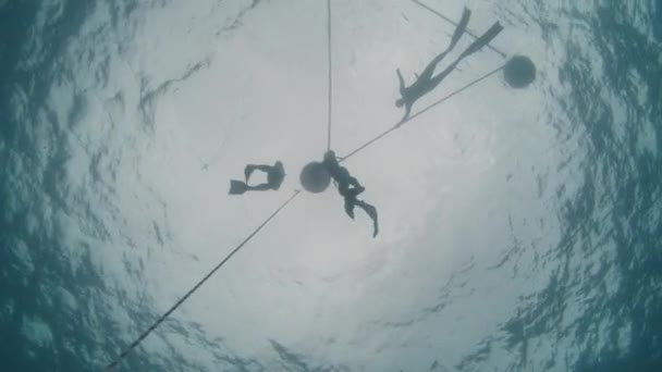 Skupina Potápěčů Trénuje Moře Bójích — Stock video