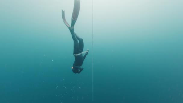Freediving Uma Corda Homem Freediver Formação Longo Corda Mar — Vídeo de Stock