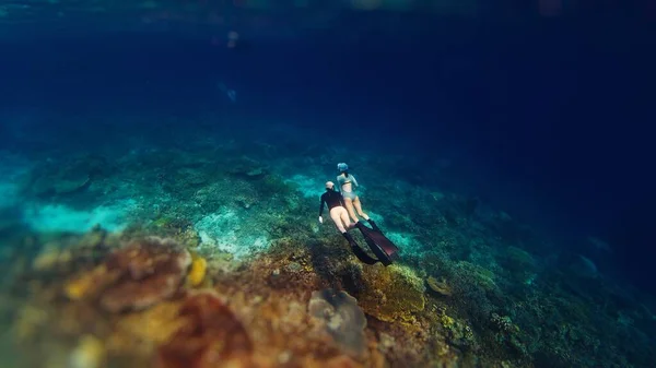 Two female freedivers swim underwater in the tropical sea and enjoy the healthy coral reef in the Komodo National Park in Indonesia