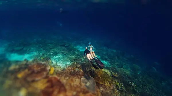 Two Female Freedivers Swim Underwater Tropical Sea Enjoy Healthy Coral Royalty Free Stock Images