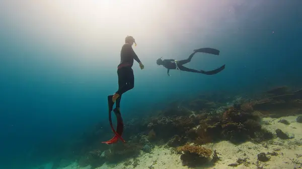 Two Male Freedivers Swim Underwater Explores Vivid Healthy Coral Reef Royalty Free Stock Images