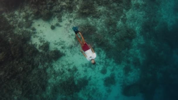 Homem Nada Debaixo Água Mar Tropical — Vídeo de Stock