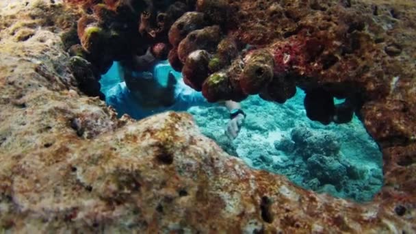 Muž Plave Pod Vodou Tropickém Moři Dívá Skrz Díru Korálovém — Stock video