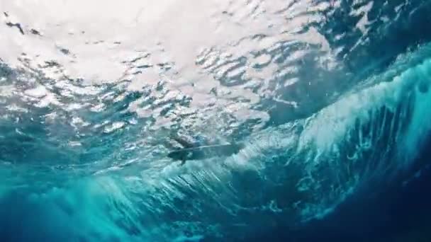 Male Maldives Ekim 2023 Okyanusta Kürek Çeken Genç Sörfçü Çocuğun — Stok video
