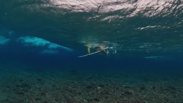 波の下のサーファーダイビング — ストック動画
