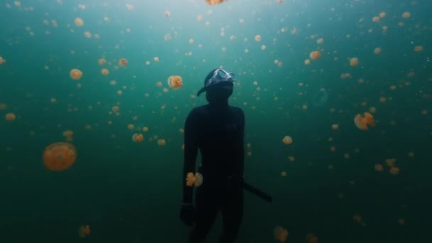 フリーダイバーは ステンレスなクラゲでいっぱいの湖で泳ぎます 西パプア ミソゾール インドネシア — ストック動画