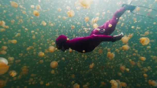 Freediver Nada Lago Lleno Medusas Sin Aguijón Papúa Occidental Misool — Vídeos de Stock