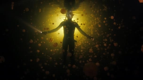 Freediver Pływa Jeziorze Dużą Ilością Meduz Nocy Nocne Nurkowanie Jeziorze — Wideo stockowe