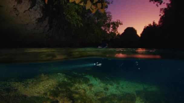 Ελεύθερος Δύτης Κολυμπάει Στη Λίμνη Πολλές Μέδουσες Νύχτα Νύχτα Ελεύθερη — Αρχείο Βίντεο