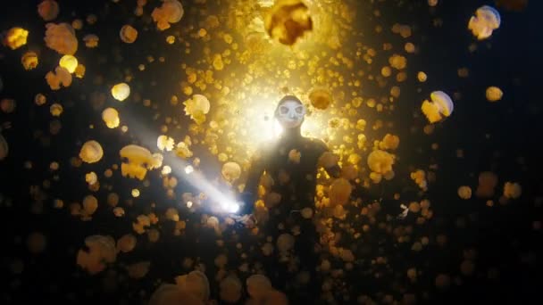 Freediver Swims Lake Lots Jellyfish Night Night Freediving Jellyfish Lake — Stock Video