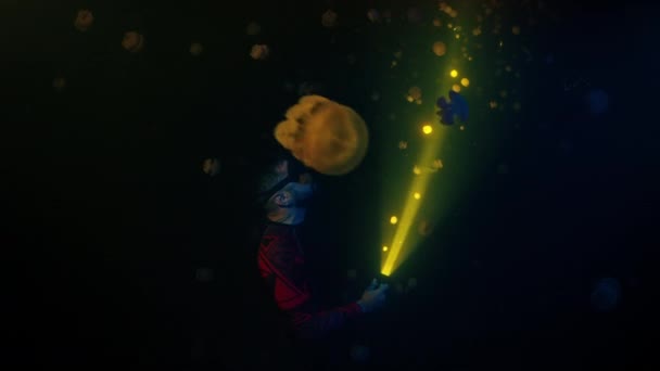Freediver Pływa Jeziorze Nocy Nocne Nurkowanie Jeziorze Raja Ampat Misool — Wideo stockowe