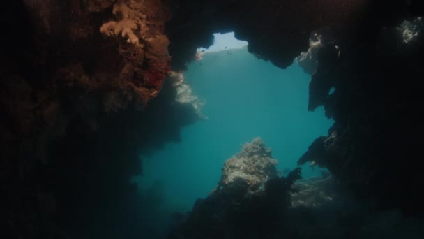 Υποβρύχια Θέα Της Εισόδου Σπηλιά Στο Raja Ampat Δυτική Παπούα — Αρχείο Βίντεο