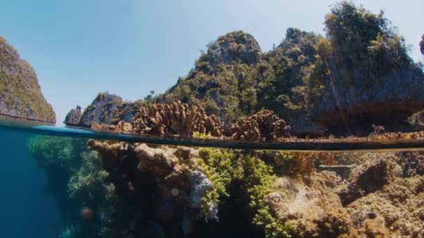 Разделенный Сверху Подводный Вид Коралловый Риф Раджа Ампат Западное Папуа — стоковое видео