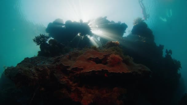 Underwater View Coral Reef Sun Shining Rocks Raja Ampat West — Stock Video