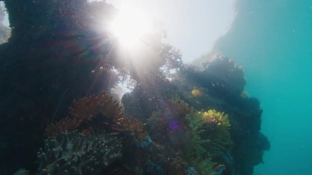 Víz Alatti Kilátás Korallzátonyra Nap Süt Sziklákon Raja Ampat Nyugat — Stock videók