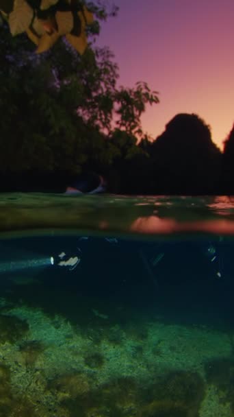 Ελεύθερος Δύτης Κολυμπάει Στη Λίμνη Πολλές Μέδουσες Νύχτα Νύχτα Ελεύθερη — Αρχείο Βίντεο