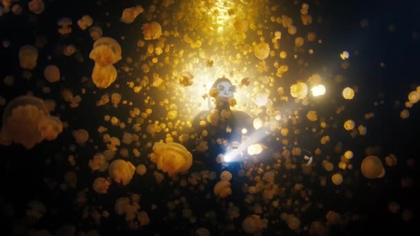 Freediver Zwemt Nachts Het Meer Nachtduiken Het Meer Raja Ampat — Stockvideo