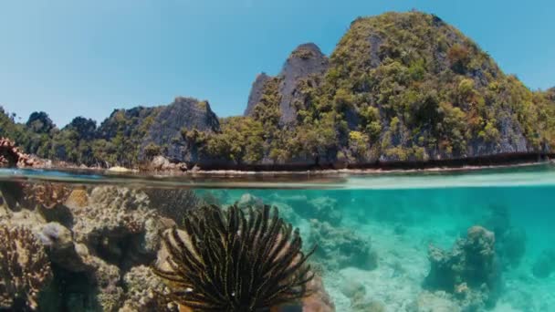 Fractionné Dessus Vue Sous Marine Récif Corallien Raja Ampat Papouasie — Video