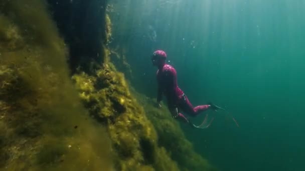 Фридайвер Плавает Водой Озере — стоковое видео