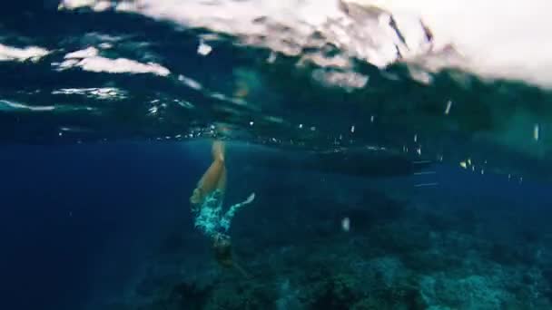 Male Maldives Październik 2023 Nastolatka Pływa Morzu Nad Tropikalną Rafą — Wideo stockowe