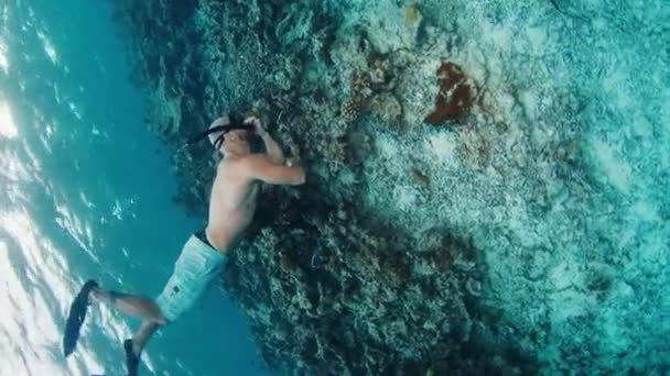 Człowiek Pływa Pod Wodą Tropikalnym Morzu Bawi Się Piaskiem — Wideo stockowe