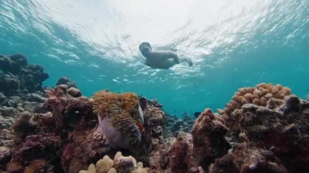Pessoa Nada Sobre Recife Coral Nas Maldivas — Vídeo de Stock