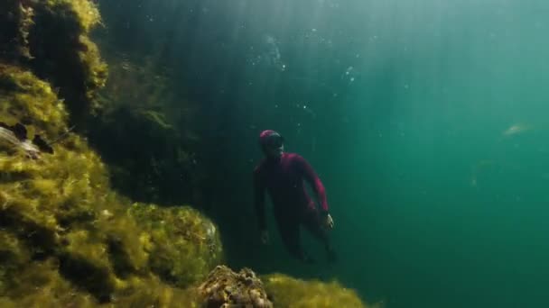 Freediver Gölde Suyun Altında Yüzer — Stok video
