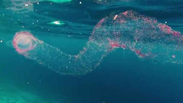 Tintenfisch Masse Schwimmt Mitten Ozean — Stockvideo