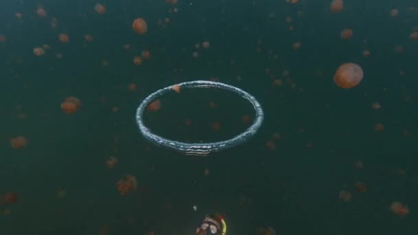 Bublinkový Kroužek Pohybuje Pod Vodou Jezeře Plném Medúz — Stock video