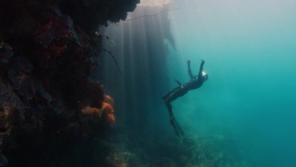 Freitaucher Schwimmt Gerne Der Nähe Des Korallenriffs Raja Ampat West — Stockvideo