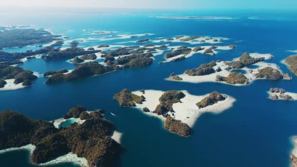Flygfoto Över Sydvästra Papuas Kustlandskap Med Massor Öar Ullregion Med — Stockvideo