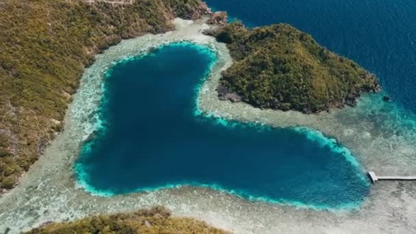 Jezioro Miłości Raja Ampat Indonezja Widok Lotu Ptaka Jezioro Kształcie — Wideo stockowe