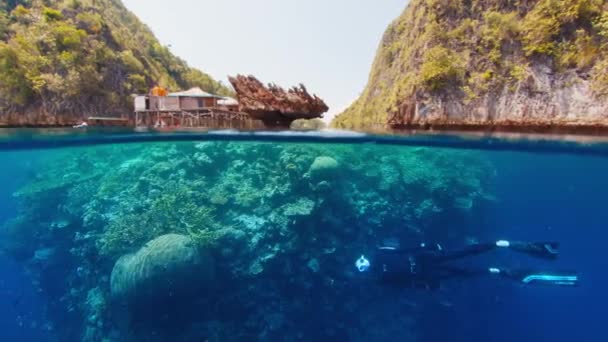 フリーダイバーはインドネシアのラジャ アムパットにあるサンゴ礁を探検します ミソール地方の鮮やかな健全なサンゴ礁の水中ビューと 西パプア周辺で自由に泳ぎ回った男 — ストック動画