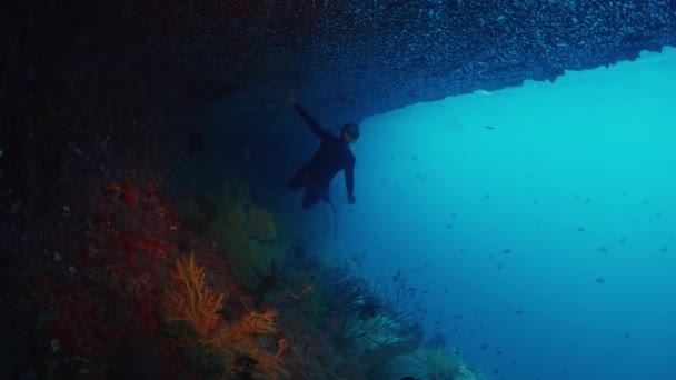 Freediver Utforsker Unikt Undervannslandskap Raja Ampat Indonesia Undervannsbilde Personen Som – stockvideo