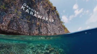 Raja Ampat, Endonezya 'daki mercan resifi. Misool bölgesindeki canlı sağlıklı mercan resifinin sualtı görüntüsü, Batı Papua