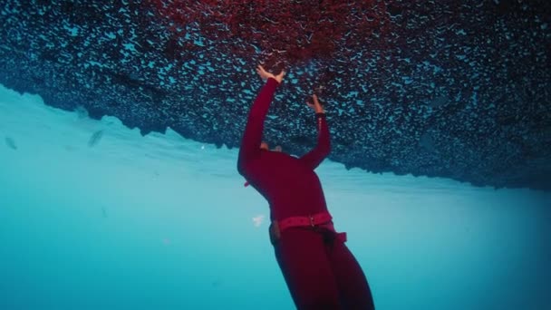 フリーダイバーは インドネシアのラジャ アムパットでユニークな水中風景を探検します 西パプアのソイソール地方で解放された人の水中ビュー — ストック動画