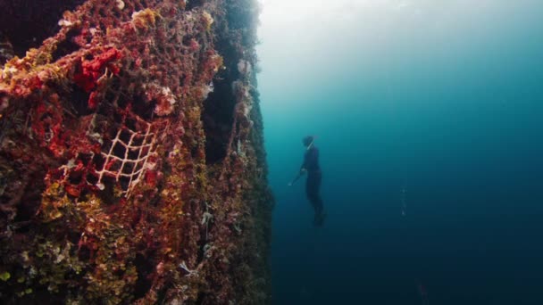 Freediver Glider Vandet Nær Koralrevet Raja Ampat Indonesien Undervandsbillede Den – Stock-video