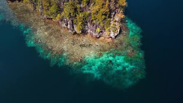 Widok Lotu Ptaka Południowo Zachodnie Rafy Koralowe Papui Pobliżu Wyspy — Wideo stockowe